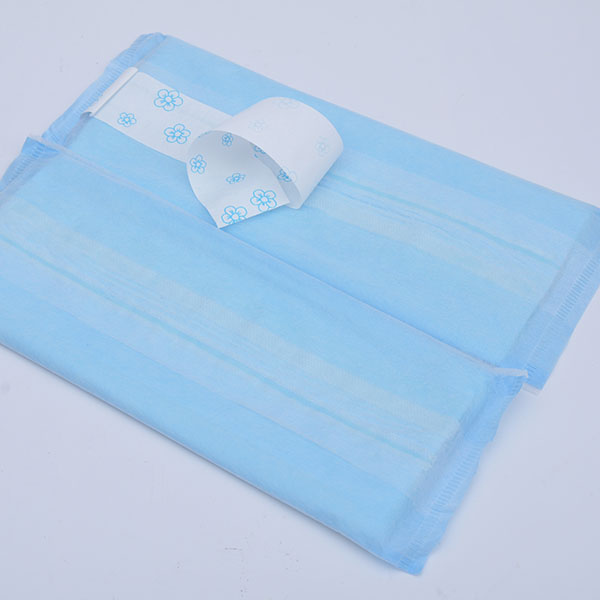 Buy Wholesale China Oem Sanitary Pad Pant Postpartum Panties Disposable  Maternity Adult Diapers For Feminine & Postpartum Panties at USD 0.15